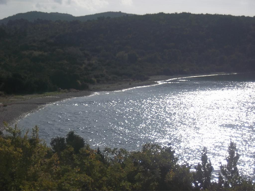 Guesthouse Budima Banići Exteriör bild