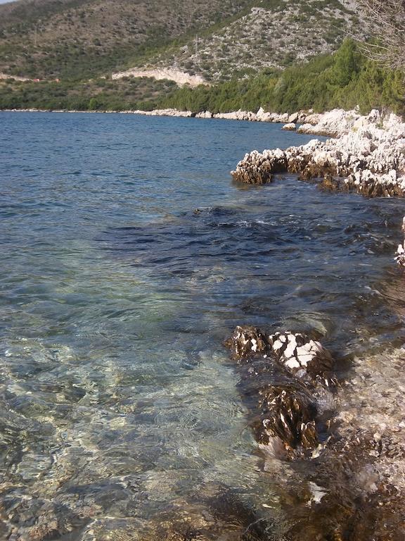 Guesthouse Budima Banići Exteriör bild