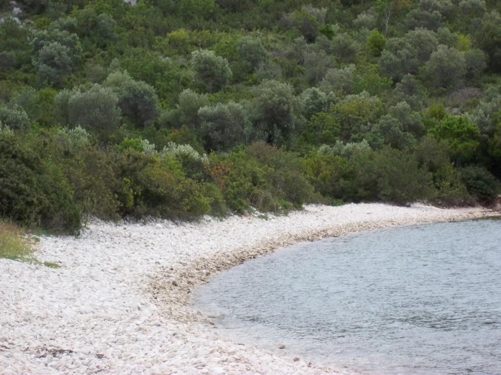 Guesthouse Budima Banići Exteriör bild